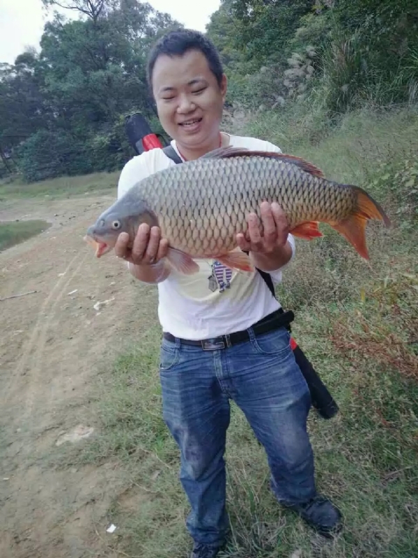 迷路的男人的第一张照片--平潭相亲网